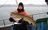 Havfiskeri lystfiskeri Helsingør havn